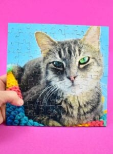 Looking for an amazing gift or keepsake? This DIY double-sided puzzle is it! With 90 pieces of 2 images, it's a little difficult without being ridiculous!