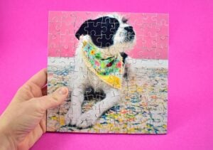 Looking for an amazing gift or keepsake? This DIY double-sided puzzle is it! With 90 pieces of 2 images, it's a little difficult without being ridiculous!