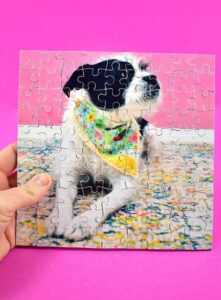 Looking for an amazing gift or keepsake? This DIY double-sided puzzle is it! With 90 pieces of 2 images, it's a little difficult without being ridiculous!