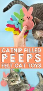 These Bunny Peeps Catnip Toys are the sweetest DIY you can make for your pet this spring and using acrylic craft felt, they're cheap, too!