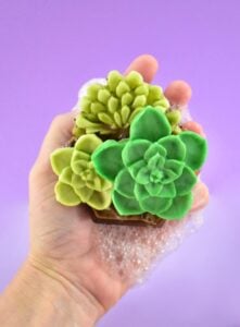 Even though those little terrariums look like glass this adorable succulent soap is just that... 100% soap! Get the details and links to the molds to make these fun and surprising DIY soaps!