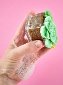 Even though those little terrariums look like glass this adorable succulent soap is just that... 100% soap! Get the details and links to the molds to make these fun and surprising DIY soaps!