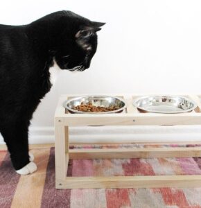 Love cats and love to craft? Check out a whole mess of colorful cat crafts that kitties (and their owners) are sure to adore!