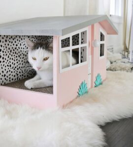 Love cats and love to craft? Check out a whole mess of colorful cat crafts that kitties (and their owners) are sure to adore!
