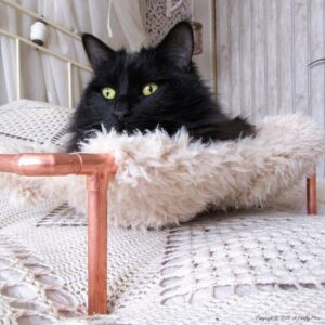 Love cats and love to craft? Check out a whole mess of colorful cat crafts that kitties (and their owners) are sure to adore!