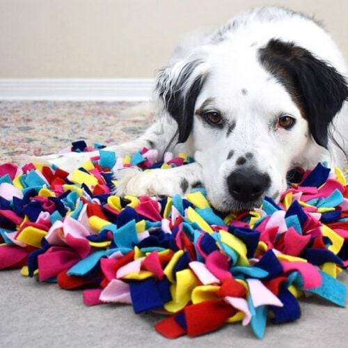 How to Make a Snuffle Mat ⋆ Dream a Little Bigger