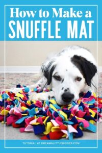 Does your dog eat too fast? It's something that can be really bad for your pet's health but luckily we can slow them down with this DIY snuffle mat!