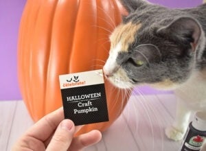 Foam crafting pumpkins can be found at craft stores or even Walmart.
