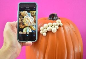 Reference photos of real warty pumpkins can be super helpful. I snapped these photos at the local nursery and some more at the grocery store and they were immensely helpful.
