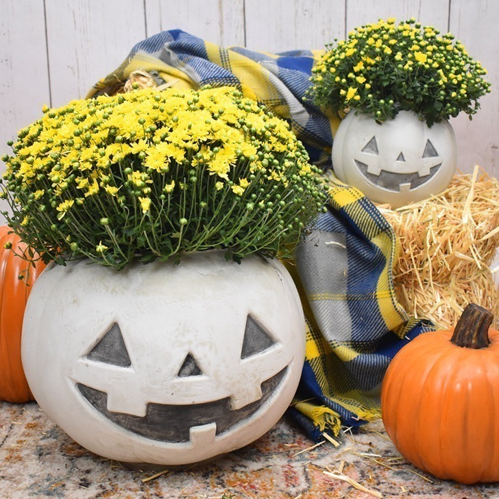Turn a trick or treat pumpkin pail into an amazing cement pumpkin planter. The Jack side is perfect for Halloween and the pumpkin works for all of Autumn!