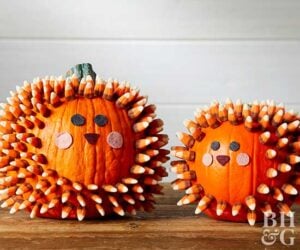 Check out these amazing no carve pumpkins kids will love!