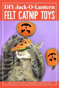 If your kitties love to play you're going to adore these DIY Felt Jack-O-Lantern cat toys you can make at home. Get the free SVG files to make your own!