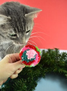 When making your pom poms take care NOT to cut the yarn you use to tie the pom together before removing your pom pom maker.