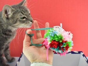 Turn yarn into gorgeous multicolor pom poms perfect for adorning a DIY Christmas wreath!