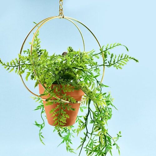 DIY Gold Ring Hanging Planter ⋆ Dream a Little Bigger