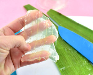 It only takes 5 minutes of effort to make homemade aloe vera gel. See how to make aloe vera gel with a trip to the plant nursery or grocery store.