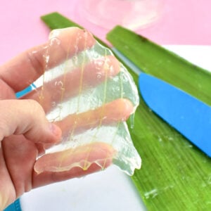 It only takes 5 minutes of effort to make homemade aloe vera gel. See how to make aloe vera gel with a trip to the plant nursery or grocery store.