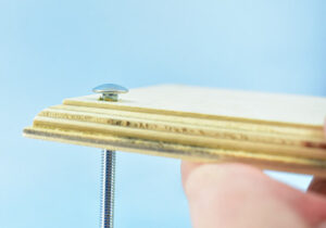 Carriage bolts are mostly round but there is a square bit next to the bolt's head.