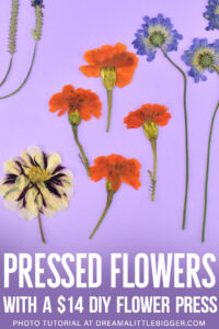 Want to learn how to press flowers? Turn your gorgeous garden posies into pressed flower keepsakes easily by making a cheap DIY flower press!