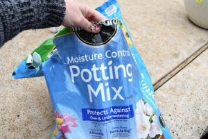 This potting soil is perfect for container gardens because it helps to prevent underwatering or overwatering. I don't know how it does it, but it's pretty genius!