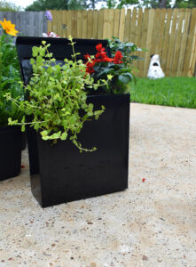 You don't have to go crazy with plants right away... After adding my Red Salvia and Creeping Jenny, I wanted to wait a bit to see how the plants filled out the container.