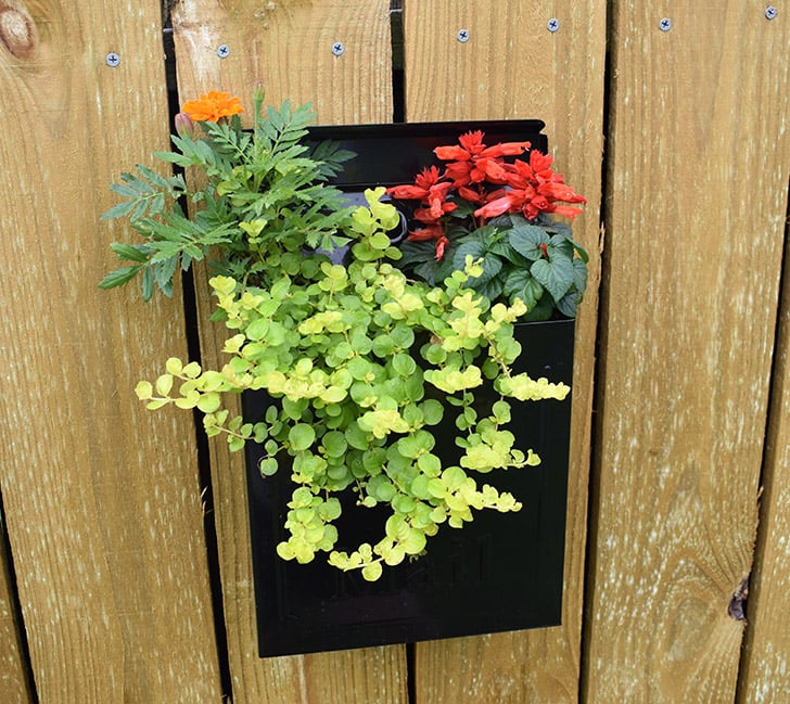 As time goes on and you can tell how the plants are going to fill out, you can add more planting. I wouldn't advise going over 4 plants so that all of them have ample root room. 