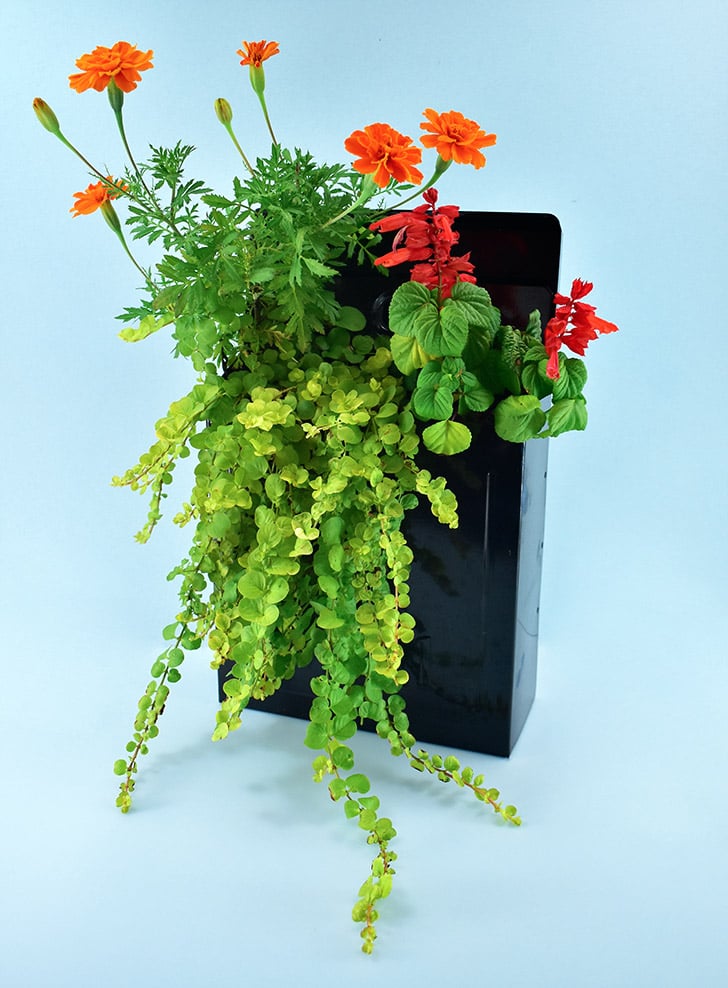 This Mailbox Planter is adorable and easy to create. Add a ton of charm to your porch with this tiny DIY gardening project!