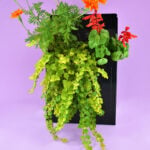 This Mailbox Planter is adorable and easy to create. Add a ton of charm to your porch with this tiny DIY gardening project!