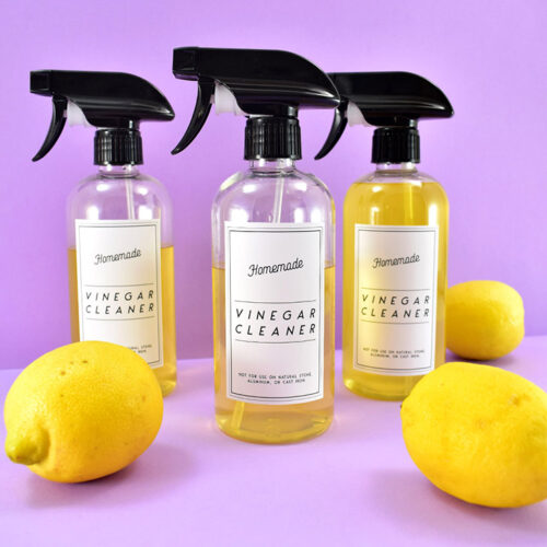 Homemade Citrus Vinegar Cleaner Recipe ⋆ Dream a Little Bigger