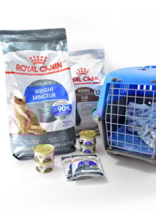 Comfortably take your cat to the vet by making them a DIY Cat Crate Cushion that's sure to help ease the discomfort of their trip!