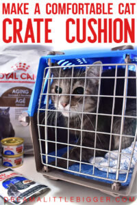 Comfortably take your cat to the vet by making them a DIY Cat Crate Cushion that's sure to help ease the discomfort of their trip!