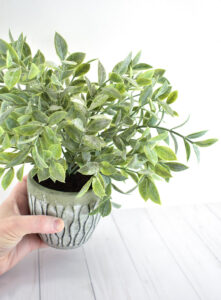I love the look of plants in my home but after having dozens die I've decided to go artificial. See how I make fake plants look real!