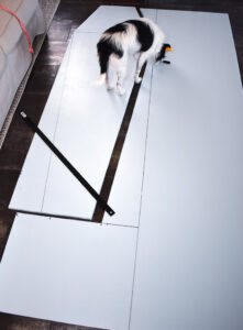 The pieces on the right side of the board will be the sides of the coffin. Reference the diagram (not shown here) to see which pieces go where to form the coffin's sides. Hang on to the pieces at the bottom of the sheet (shown with a gray X) as these will be used to support and embellish the coffin.