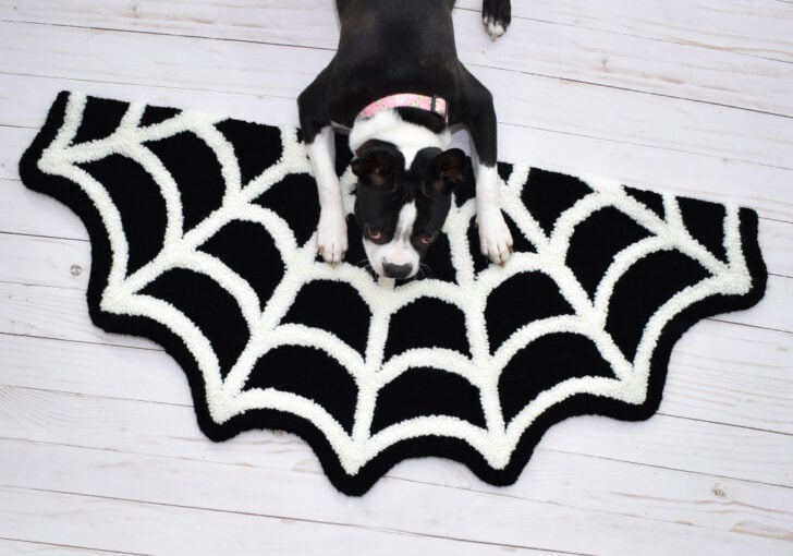 On the plus side the black and white design also matches both of my lady pups!