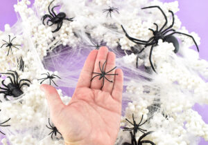 You can find these little spiders, even without the backs, for a few dollars.