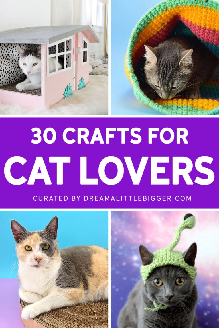 30 Crafts for Cat Lovers ⋆ Dream a Little Bigger
