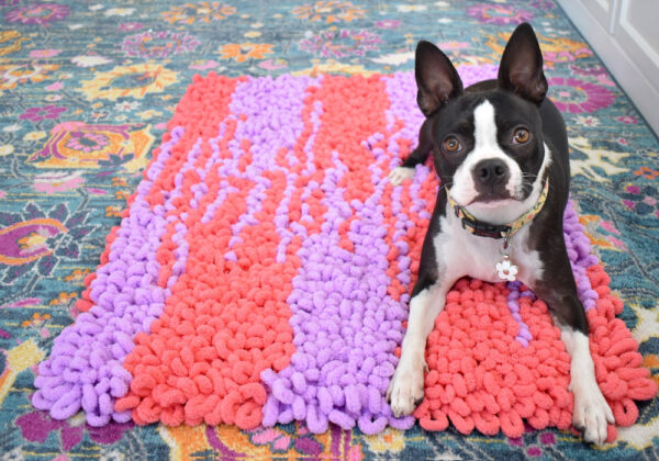 This loop rug is not only gorgeous, fluffy, and loved my humans and pets alike, it's also crazy simple to make without expensive tools!