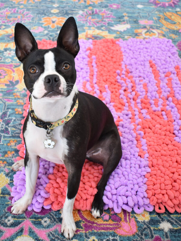 This loop rug is not only gorgeous, fluffy, and loved my humans and pets alike, it's also crazy simple to make without expensive tools!