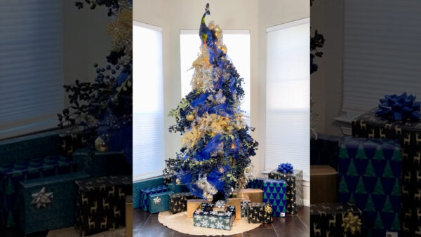 Looking for a unique and elegant Christmas tree? This peacock tree follows a peacock's tail from the top where the bird perches to the bottom. When displayed with a rotating base, the sight is magical!