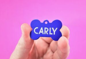 Engrave your own pet collar tags at home! It's the perfect way for special info. Want an email address instead of phone number? Done! Does your pet need medication? Add that, too!